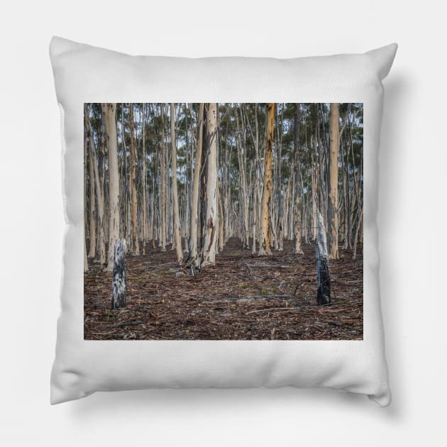 You Yangs Plantation Pillow by LukeDavidPhoto