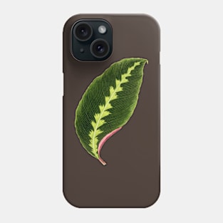 Calathea Warscewiczii - Flore des serres et des jardin de l’Europe Phone Case