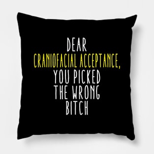 Dear Craniofacial Acceptance You Picked The Wrong Bitch Pillow