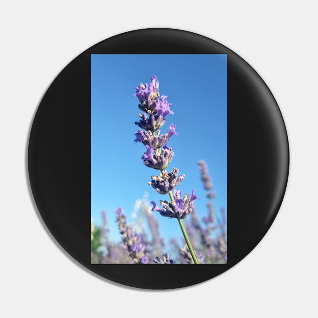 Single Lavender Flower Pin by Anastasia-03