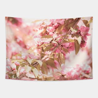 Dark pink apple blossom flowers on tree branches Tapestry