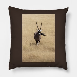 Oryx. Pillow