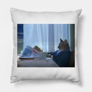 Cat Reading Newspaper Pillow