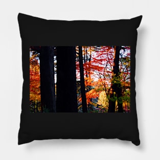 Autumn Colours 8 Pillow