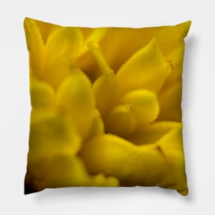 Flower blooms in macro Pillow