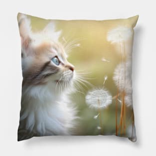 Cat Furry Pet Animal Tranquil Peaceful Pillow