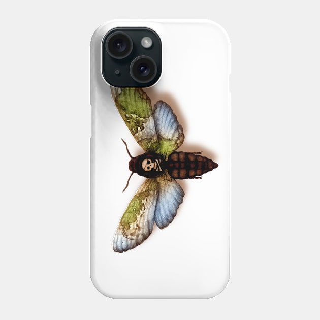 Acherontia Piratus Phone Case by Vinsse