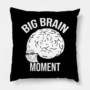 Big Brain Moment Pillow