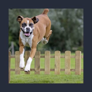 Boxer Dog Leaping Over a Wooden Fence T-Shirt