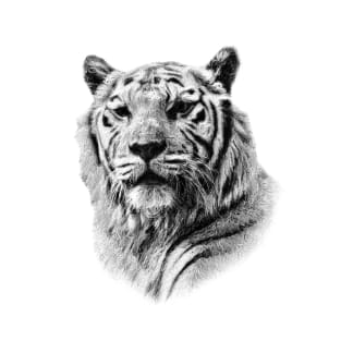 Tiger portrait T-Shirt