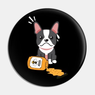 Naughty french bulldog spilled a jar of honey Pin