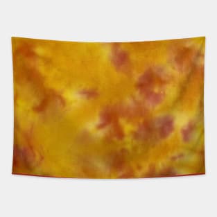 Summr Tie Dye Flame Desert Tapestry