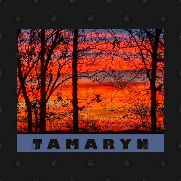 Tamaryn band fan by Noah Monroe