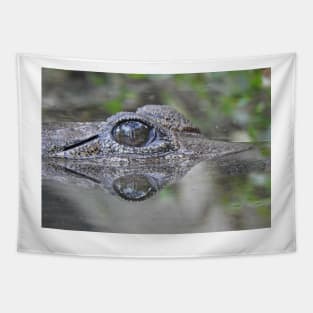 Freshwater Crocodile Tapestry