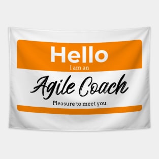 Hello I am an agile coach Tapestry