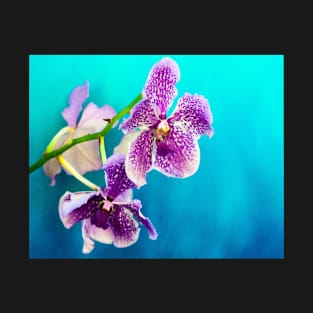 Orchid photography T-Shirt