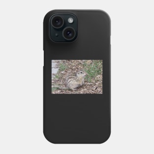 Thirteen-lined ground squirrel Phone Case