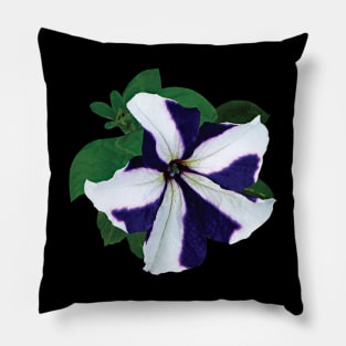 Petunias - One Purple and White Petunia Pillow