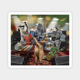 Animalz Band Zoo Musicians Magnet