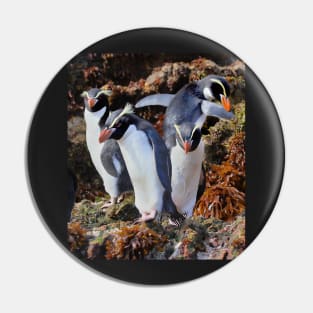 Snares Crested Penguins Pin