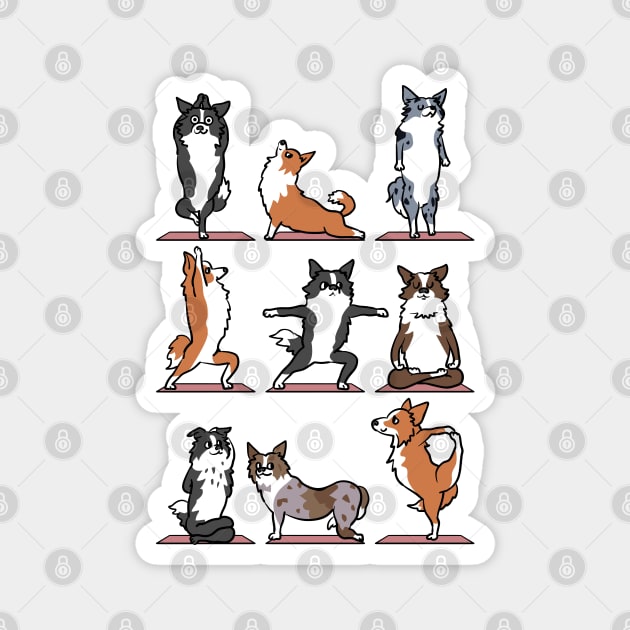 Border Collie Yoga Magnet by huebucket