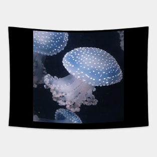 Jellyfish Tapestry