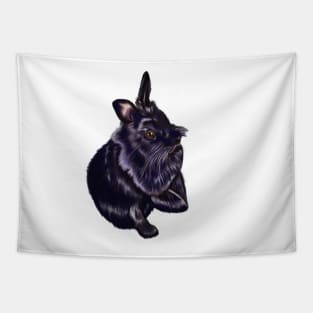 bunny rabbit cute  furry ebony colored coloured lionhead bunny rabbit Tapestry