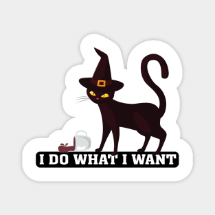 I Do What I Want Cat Lover Sunglasses cat Magnet