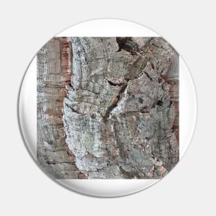 Cork Oak Tree Bark Texture 6 Pin