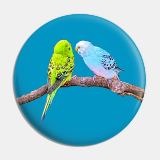 Cute budgie couple Pin