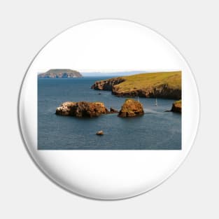 Channel Islands National Park Santa Cruz Island Pin