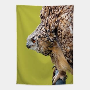 Eagle Owl threat display Tapestry