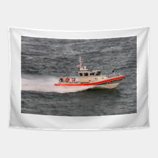 USCG Patrol Boat RB-M Tapestry