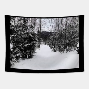 Snowy Trail Tapestry