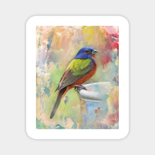 Painted Bunting Bird Magnet