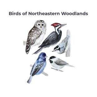 Birds of Northeastern Woodlands T-Shirt