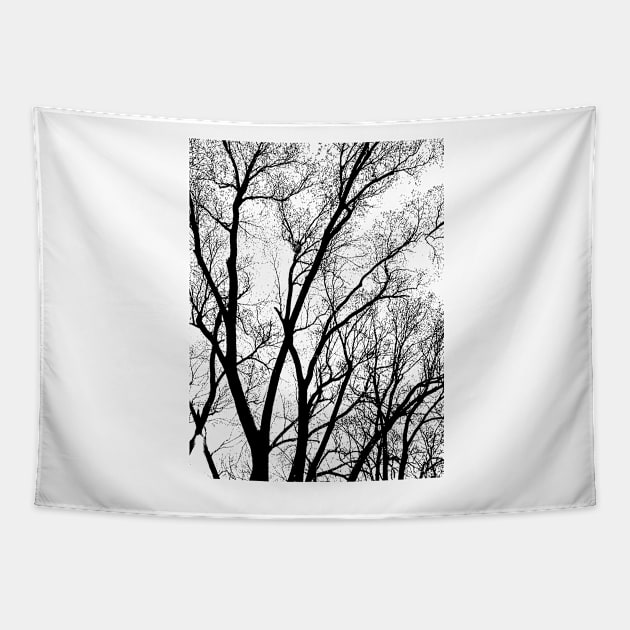 winter tree abstract texture Tapestry by pholange