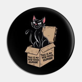 Cat in the box Pin