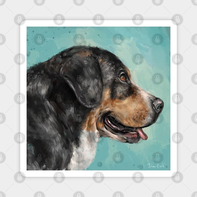 Painting of Greater Swiss Mountain Dog Magnet by ibadishi