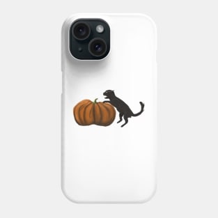 Halloween Beyklog Black cat and pumpkin Phone Case