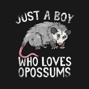 Just A Boy Who Loves Opossums T-Shirt