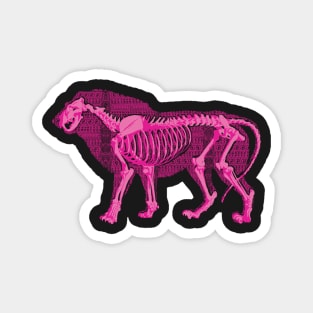 Pop Tribal Patterned African Pink Lion Outline with Skeleton Magnet