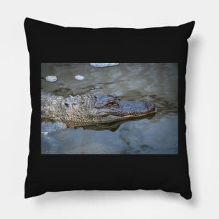 South Padre Island Alligator Pillow