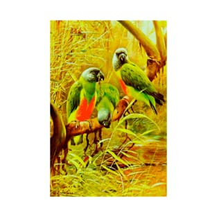 Parrots and macaws T-Shirt