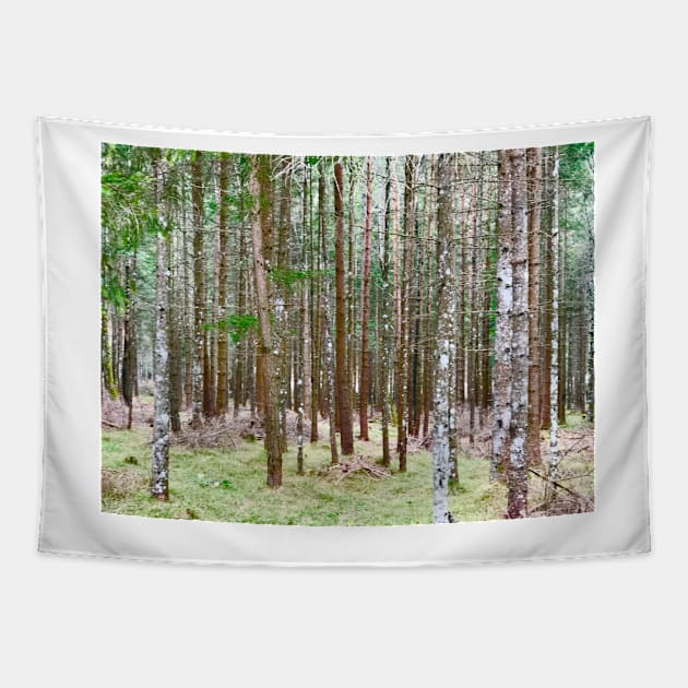 Enchanted Forest Tapestry by ephotocard