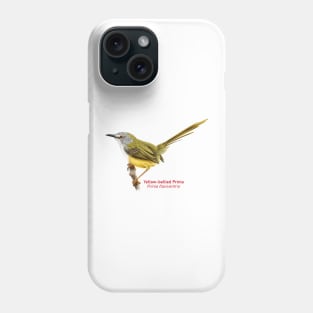 Yellow-bellied Prinia | Prinia flaviventris Phone Case