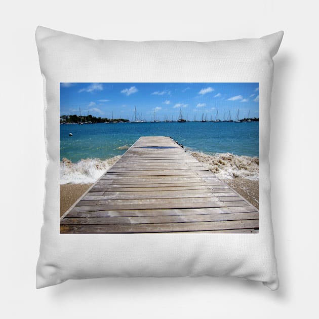 Caribbean Perspective Pillow by JohnDalkin