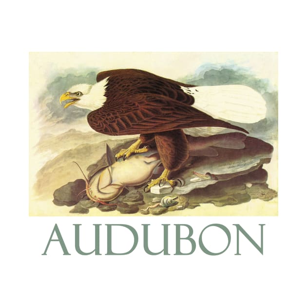 Bald Eagle by John James Audubon by Naves