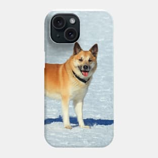 IcelandicSheepdog20160201 Phone Case