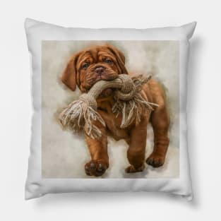 Bordeaux mastiff puppy Pillow